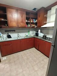 Dover Parkview (D5), Condominium #567699451